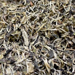 Té Blanco SILVER MOONLIGHT...